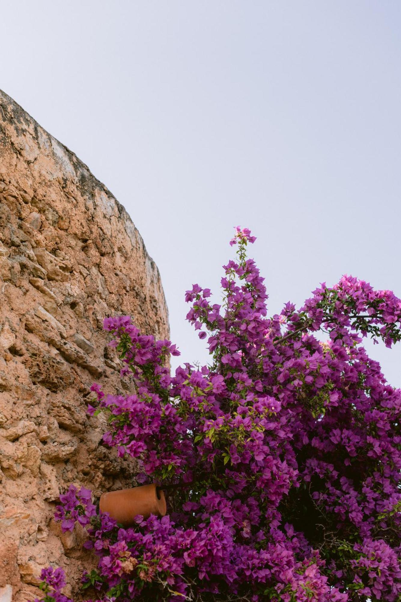 Can Quince Balafia Ibiza Hotel - Turismo De Interior Sant Llorenc de Balafia Exterior foto
